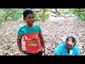 முளைத்த முந்திரிப் பயிர் வேட்டை sprout cashew nut hunt sirkazhi kathir samaiyal.