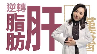 逆轉脂肪肝 | 莊佳穎 | 大愛學漢醫 | 20240304