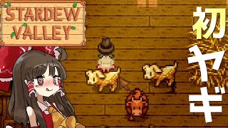 【ゆっくり実況】私達田舎で暮らします！#12【Stardew Valley】