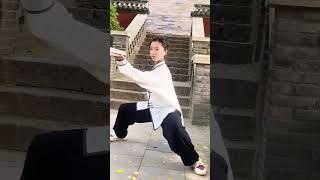 太极看似柔和，实则柔里透刚，出拳瞬间力量极强 #taichi #taichiquan #kungfu #wushu #martialarts #taiji #taijiquan #太极 #太極拳 #功