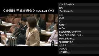 靖国参拝 参議院 予算委員会 徳永議員（民主） H25 4.24 （水）