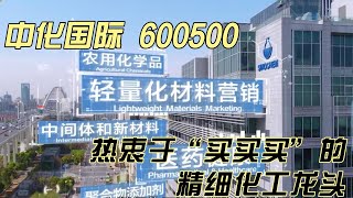 中化国际  | 精细化工龙头  |  600500 | 企业竞争力分析