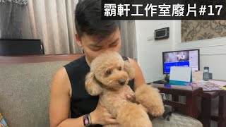 【霸軒】吸狗勾｜跟小美一起去看水豚｜每週廢片#17