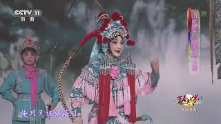 [青春戏苑]河北梆子《扈家庄》片断 表演：张警月| CCTV戏曲