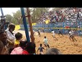 pullambadi ri groups maadu in kallkudi jallikattu 2019