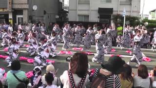 2013土崎湊曳山祭り　小鴨町と鉄道社宅の共演