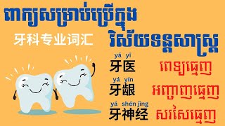 រៀនពាក្យពេទ្យធ្មេញ វគ្គ១ | Dental Vocabulary ep1 |牙科专业词汇 1