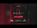 Waan It - DeSiz ft. Genaral Brigante (Official Audio) 2022