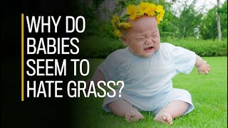 Watch these babies instinctually avoid grass