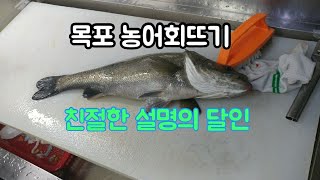 목포횟집 농어 회뜨기 풀영상