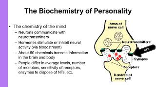 CH 8.4   The Neurochemistry of Personality