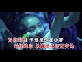 李嘉 《拢是为着你啦（dj mj版）》 ktv 导唱字幕 （备有伴奏视频）