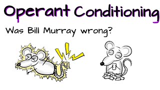 Operant Conditioning - What is it? And was Bill Murray wrong?