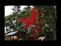 感激を求めて　小國神社の紅葉くもり　12月7日 静岡県周智郡森町