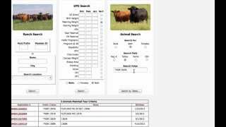 How To: Search an Animal, AGA Registry Service Tutorial