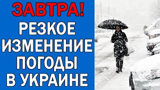 ПОГОДА НА 6 ЯНВАРЯ : ПОГОДА НА ЗАВТРА