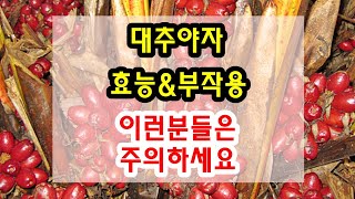 대추야자 효능과 부작용 잘 알고 드셔야해요~