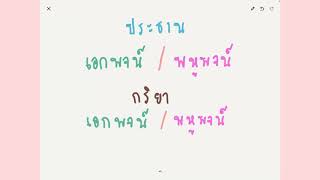 ประธาน กริยา  เอกพจน์ และพหูพจน์ คืออะไร ใช้อย่างไร