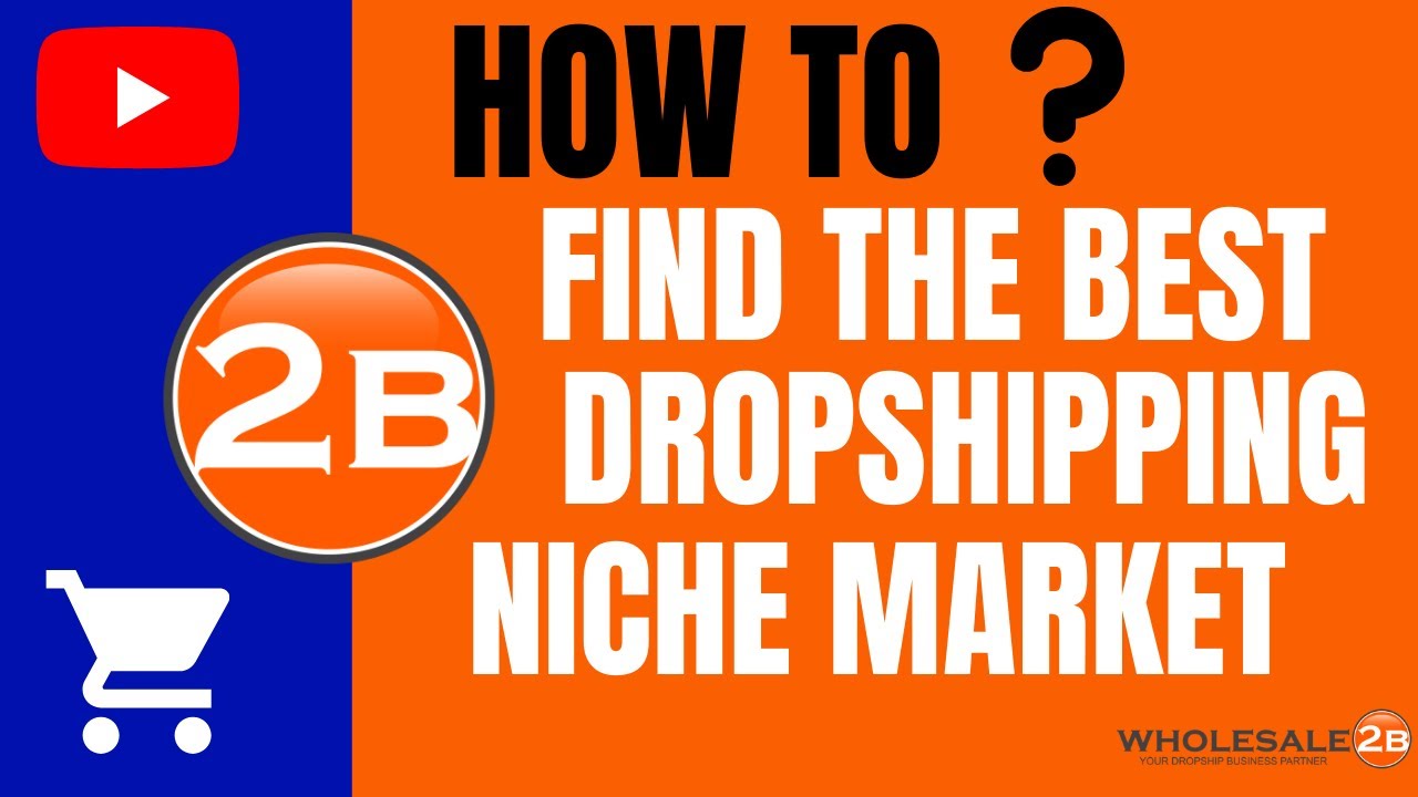 How To Find The Best Dropshipping Niche Market For You - Wholesale2b ...