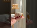 完全無防備なキンカチョウのみるくん｜錦華鳥｜zebra finch