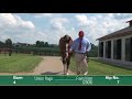 Hip 7 Keeneland September 2017