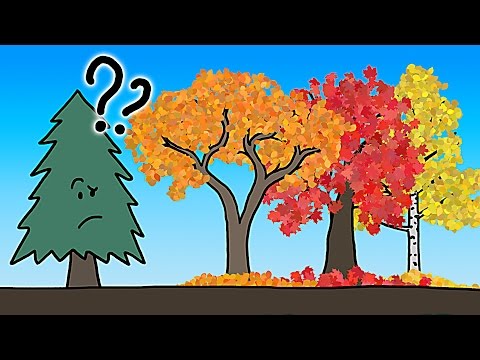 What makes leaves red in autumn?