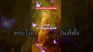 คาถาพระโมคัลลานะต่อกระดูก #คาถา #บทสวด  #viralvideo #youtubeshorts #tomtipsdd