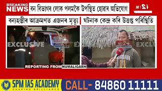 Golaghat News: গোলাঘাট জিলাৰ মূৰফুলনিত বনৰীয়া হাতীৰ আক্ৰমণ