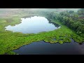 An Aerial Footage of a Swamp and an Agricultural Land | Royalty Free 4K Stock Video Footage