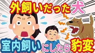 【2chほのぼの】ずっと外飼いしていた犬を室内飼いすることに→その日から犬の様子がおかしい…【ゆっくり】