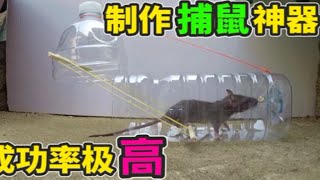 学会这个捕鼠陷阱，我把粘鼠板和猫都扔了！只因抓老鼠效率太高