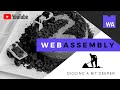 WebAssembly - Digging a bit deeper | Debugging WebAssembly code | WebAssembly  for a web developer
