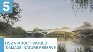 HS2 will 'divide and destroy' natural habitat across England, major report warns | 5 News