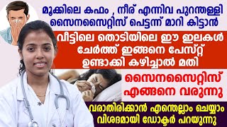 മൂക്കിലെ കഫം,നീര്വീ ഇവ മാറാൻ വീട്ടിലെ തൊടിയിലെ ഈ ഇലകൾ ചേർത്ത് ഇങ്ങനെ പേസ്റ്റ് ഉണ്ടാക്കി കഴിച്ചാൽ മതി