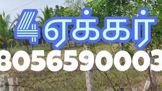 🙏 சிவகங்கை மாவட்டம் திருப்பத்தூர் அருகே ஆத்தங்கரைப்பட்டி 4 ஏக்கர்  தோப்பு விற்பனைக்கு 📞 8056590003