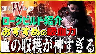 ディアブロ4 シーズン2新要素！おすすめの吸血力 | ローグの強さ | 血の収穫で厳選とレベル上げ！【diablo4】