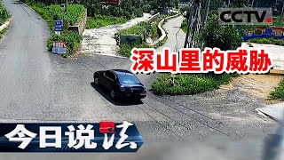 《今日说法》青岛一男子在僻静深山里遭人威胁 究竟发生了什么？20240824 | CCTV今日说法官方频道