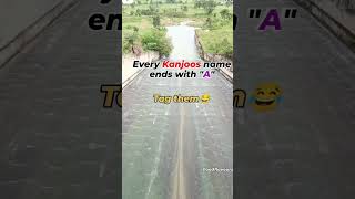 every kanjoos name and with  \