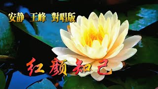 安静🈴王峰 《紅顏知己》 對唱版 就在來生的路口等妳  HD