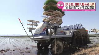 【水不足】雪解け水などに頼る「天水田」で田植え始まらず　“少雪少雨”で水不足に直面するコメ農家 《新潟》