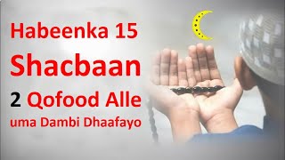 Ma Doonaysa Alle Dambigaaga Dhan Kaa Masaxo Daqiiqado Shaygan iska ilaali Habeenka 15 Shacbaan