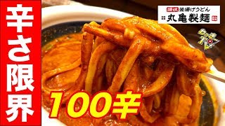 【100辛】丸亀製麺でうま辛MAX坦々うどん（冷）を食べてみた！ Tried blazing hot Udon！