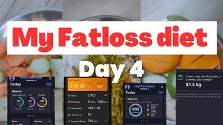 How I am losing fat with Diets | Day 4 #fatloss #fatlossjourney #fatlosstips #fatlosschallenge