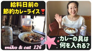 給料日前の節約カレー  カレーの具は何を入れる？