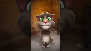 (Song) Bijlee lyrics (Hardy Sandhu) #new #song #billa #tom #comedy #short video #tom cat cartoon