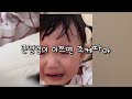 육아브이로그 55 수다쟁이 28개월 👼🏻 낮잠시간에 애착인형 없으면 생기는 일 혼자서 사다리 변기 사용🚽 최애 핑크퐁 퍼즐 밥도그