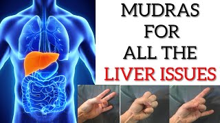Yoga mudras to strengthen & Detoxify the LIVER | Mudras for all the LIVER related health issues
