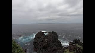 【伊豆大島】泉津　海岸遊歩道　#3　Oshima,Tokyo Senzuyuhodo 3