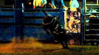 Creekbend Ranch Midget113