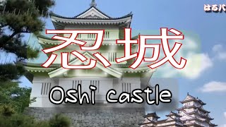 Saitam Oshi castle 忍城